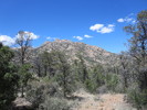 photo thumbnail #6