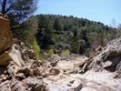 photo thumbnail #12