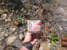 photo thumbnail #14