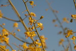 photo thumbnail #12