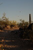 photo thumbnail #15