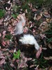 photo thumbnail #2