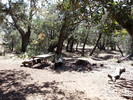 photo thumbnail #12
