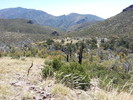 photo thumbnail #14