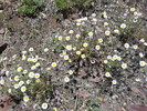 photo thumbnail #15