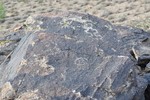 photo thumbnail #10