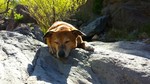 photo thumbnail #3