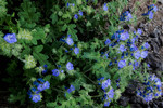 Featured Detail Photo