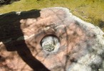 photo thumbnail #14