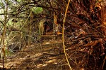 photo thumbnail #3