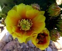 photo thumbnail #15