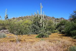 photo thumbnail #1