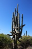photo thumbnail #3