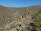 photo thumbnail #4