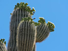 photo thumbnail #11