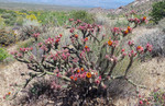 photo thumbnail #3