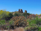 photo thumbnail #4