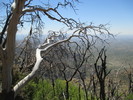 photo thumbnail #13