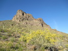 photo thumbnail #5