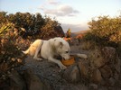 photo thumbnail #2