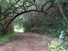 photo thumbnail #8