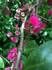 photo thumbnail #10