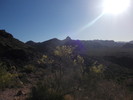 photo thumbnail #3