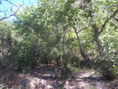 photo thumbnail #13