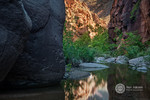 photo thumbnail #5