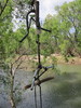 photo thumbnail #4