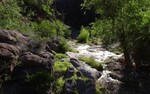 photo thumbnail #11