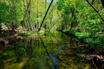 photo thumbnail #1