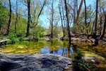 photo thumbnail #6