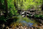 photo thumbnail #11