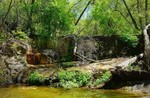 photo thumbnail #12