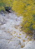 2015-04-20 :2: Pass Mountain Loop Trail #282 :: RickVincent
