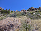 photo thumbnail #10