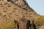 photo thumbnail #3