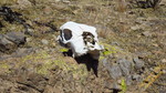 photo thumbnail #12