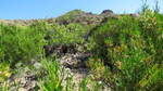 photo thumbnail #14