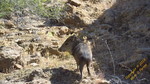 photo thumbnail #15