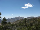 photo thumbnail #5