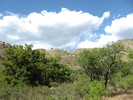 photo thumbnail #12