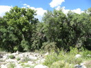 photo thumbnail #13