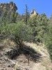 photo thumbnail #9
