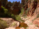 photo thumbnail #11