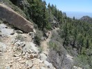photo thumbnail #11