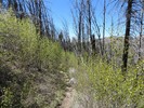 photo thumbnail #14