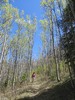 photo thumbnail #15