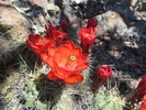 photo thumbnail #10
